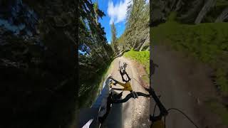 Close call 😰 Wait for the final turn… flowcam shorts short youtubeshorts mtb epic sports [upl. by Gelasius68]