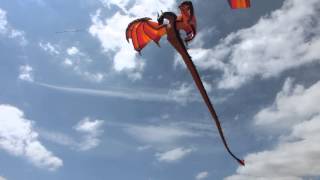 A very cool Dragon Kite [upl. by Nassir352]