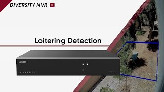 Diversity NVR  Loitering Detection [upl. by Ecarret]