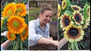 First Sunflower Succession🌻Spring Sunflower Succession with Hoops and Agribon  Northlawn [upl. by Kisung]