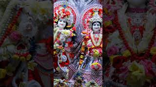 Giridhari Lal Nache Shyam Gopal merochotosoladdugopal shortvideo 🙏🙏🙏 [upl. by Aksel]