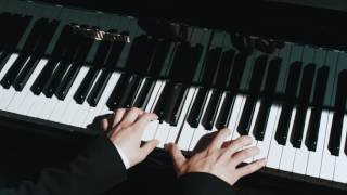 Beauty and the Beast Piano Concerto Daniel Sebastian [upl. by Jet233]