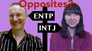 ENTP  INTJ Interaction Similarities and Differences [upl. by Joanne]