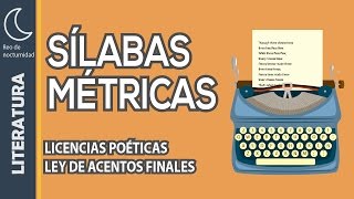 La métrica y las licencias poéticas [upl. by Yajeet]