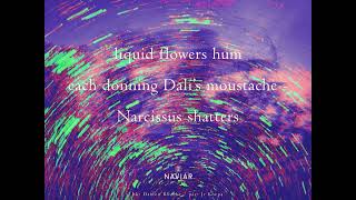 Wilfried Hanrath  Liquid Flowers Naviarhaiku 568 [upl. by Adyahs]