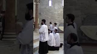 Tridentine Mass ✔️What does the Tridentine Rite look like sacerdote shortvideo shortsfunny misa [upl. by Merriam]