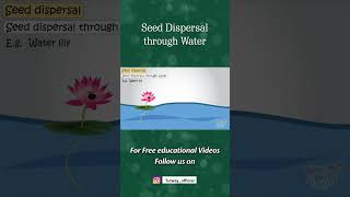 Ways of Seed Dispersal  Seed Dispersal through Water  Plants  Pollination  Science shorts [upl. by Aiouqahs848]