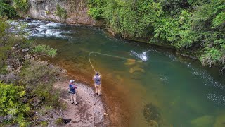 This River is Incredible Big Fish Everywhere [upl. by Shaina632]