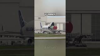 Airbus Beluga is hungry 🤣 shorts [upl. by Isyak]