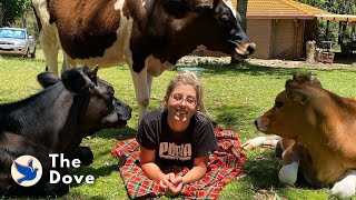 Calves Have The Sweetest Bond With Girl After She Rescued Them  The Dove [upl. by Perry]