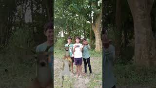 deer dance viral trending funny trendingsong [upl. by Nyledam120]