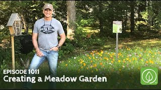 Growing a Greener World Episode 1011 Creating a Meadow Garden Anywhere Around Your Yard [upl. by Catherine893]