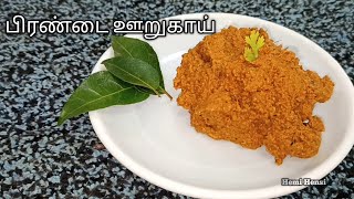 how to prepare veld grape pickleபிரண்டை ஊறுகாய் செய்வது எப்படி [upl. by Issy]