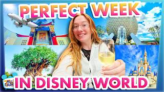 The Secret to the PERFECT WEEK in Disney World [upl. by Enomad]