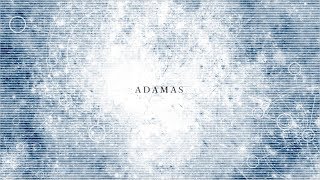 ADAMAS  LiSA Cover ウォルピスカーター [upl. by Mcadams]