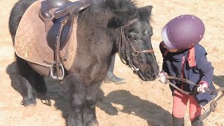 VLOG ÉQUITATION  Parfaite cavalière [upl. by Atilegna996]