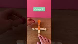 How To Build A Catapult for Kids  STEM Activities for Kids  shorts [upl. by Calbert]