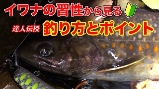 習性から見るイワナの釣り方と好みのポイント 木曽の達人がこっそり伝授 初心者必見！【渓流釣り初心者】【渓流ルアーフィッシング】 [upl. by Yatnohs]