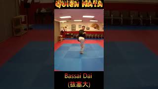 Kata Tutorial Bassai Dai karate karatekata bassaidai [upl. by Airekahs890]