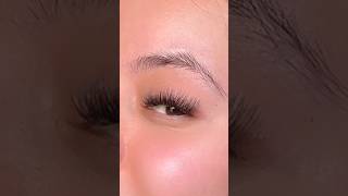 DIY lash extensions tutorial lashextensionslashtutorialdiylashextensionsathomelashextensions [upl. by Fran]