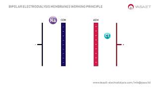 Bipolar Electrodialysis Membranes Working Principle in 1 min  DESALT by YASA ET [upl. by Corri]