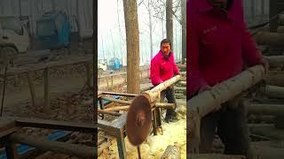 Vertical sawing process of excess part on log [upl. by Rasla]