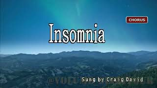 Craig David  Insomnia  KaraokeLyricsInstrumental [upl. by Yelahc]