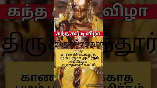 5th day பஞ்சா அமிர்தம் அபிஷேக் காட்சி I Kanda Sashti festival thiruchendur [upl. by Narmak]