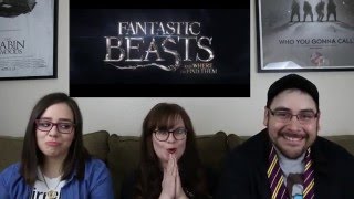 Fantastic Beasts And Where To Find Them  Official Trailer Reaction [upl. by Earlene]