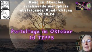 Portaltage im Oktober  10 Tipps wie du damit umgehen kannst [upl. by Keffer]