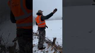 Tir dun Chevreuil sous la neige par Adrien Bibal Roe deer Shot top10 hunting [upl. by Bertelli968]