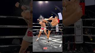 Feint  Round kick 🔥 kickboxing muaythai mma [upl. by Ephram134]