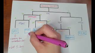 Bleeding disorders algorithm USMLE [upl. by Nosydam399]