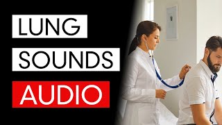 Lung Sounds  Audio COVID19 Pneumonia Included [upl. by Alimak658]