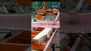 Red Cedar Log Sawmill Process  Thats how you make money [upl. by Riehl]