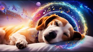 Música Relajante para Perros Alivio del Estrés y PTSD🐾 [upl. by Nnahs274]