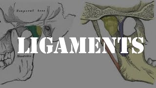 Ligaments of temporomandibular joint [upl. by Eedoj]