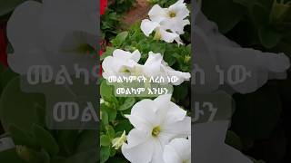 መልካም 🌹💐💐💐 [upl. by Christiansen]