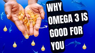 What Omega 3 Does To Your Body  Fish Oil Benefits Side Effects amp Use in Pregnancy [upl. by Ayom]