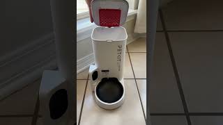 PETKIT Automatic Pet Feeder with HD Camera The GameChanger for Busy Pet Owners [upl. by Coffey]