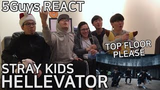 DOPE DROP Stray Kids  Hellevator 5Guys MV REACT [upl. by Edison]