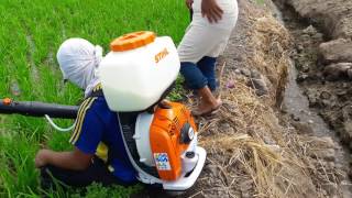 Stihl fumigacion en arroz [upl. by Doowle]