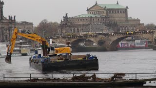 Dresden Carolabrücke kurz amp direkt  15112024  Teil 1 Ausbaggern der Elbe  Tag 2 [upl. by Kyrstin]