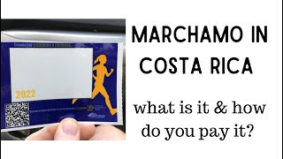 Marchamo in Costa Rica  what is it and how do you pay it [upl. by Ydneh243]