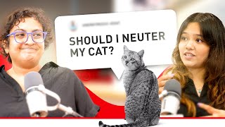 Changes in Cats After Neutering  With Dr Michelle Simones and Amanda Tong [upl. by Aenneea]