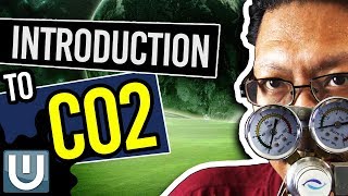 Introduction To Co2  The Ultimate Aquarium Co2 Guide  Part 1 [upl. by Devlen]