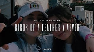 BIRDS OF A FEATHER x 4EVER  Billie Eilish amp Clairo MASHUP [upl. by Tsan515]