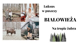 🌟 BIAŁOWIEŻA 🦬🌲 WEEKEND Z BAJKI 🪻CO ZOBACZYC 🌳 GDZIE SPAĆ 🚂 KUCHNIA REGIONALNA 🥟🥮 [upl. by Catriona]