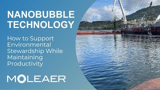 Aquaculture Support Environmental Stewardship While Maintaining Productivity with Nanobubbles [upl. by Erida]