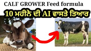 calf grower feed formula homemade feed [upl. by Marillin]